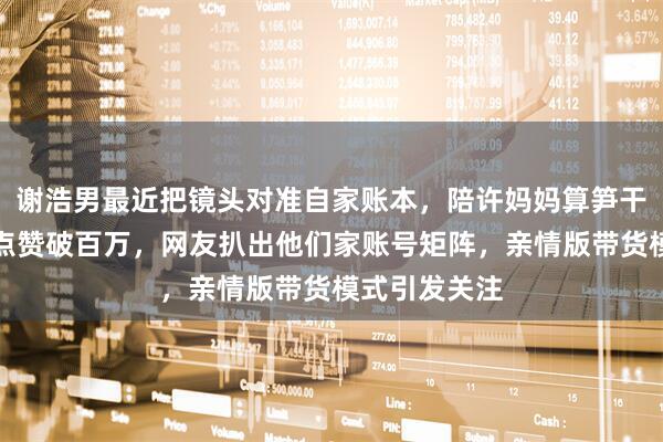 谢浩男最近把镜头对准自家账本，陪许妈妈算笋干利润，视频点赞破百万，网友扒出他们家账号矩阵，亲情版带货模式引发关注