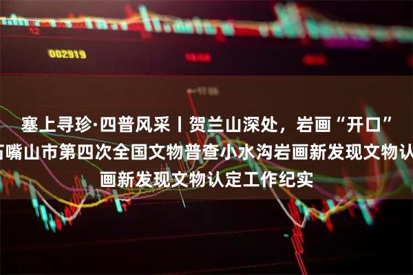 塞上寻珍·四普风采丨贺兰山深处，岩画“开口”说千年——石嘴山市第四次全国文物普查小水沟岩画新发现文物认定工作纪实