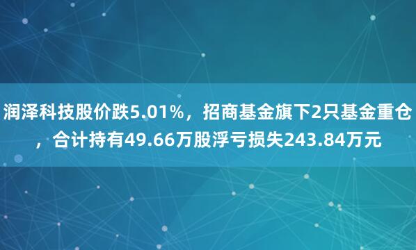 润泽科技股价跌5.01%,招商基金旗下2只基金重仓,合计持有49.66万股浮亏损失243.84万元